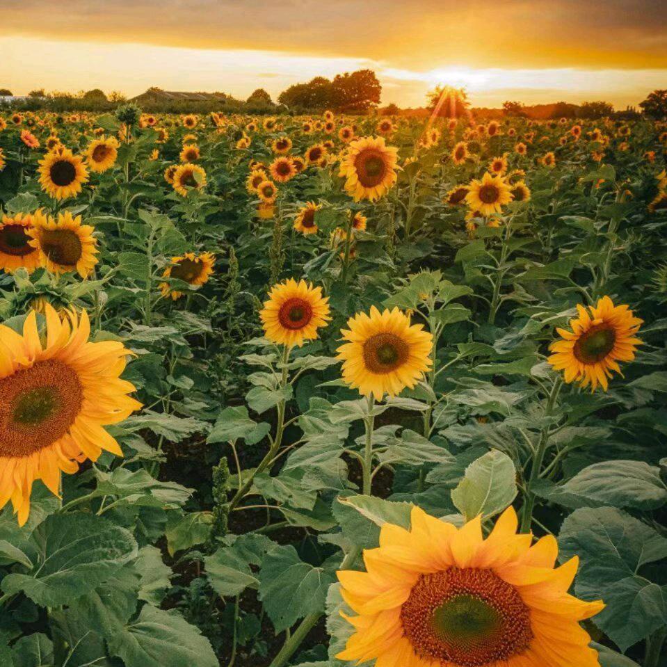 一生快乐好物推荐