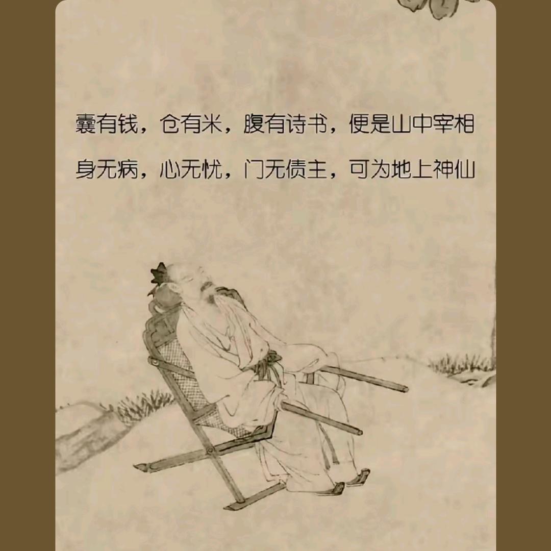 随风行走追寻自由