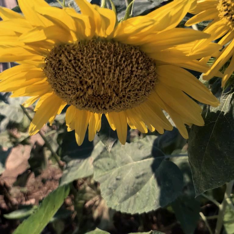 ☆*::*𝟸𝟶𝟸𝟻*::6:/^