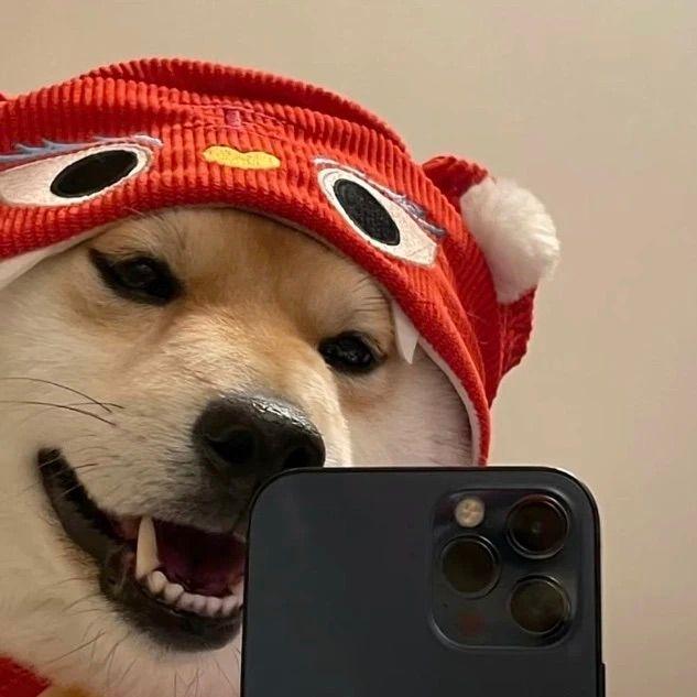 李大狗吖