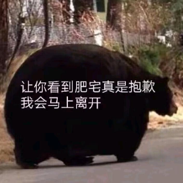 盖世嘤熊八百斤