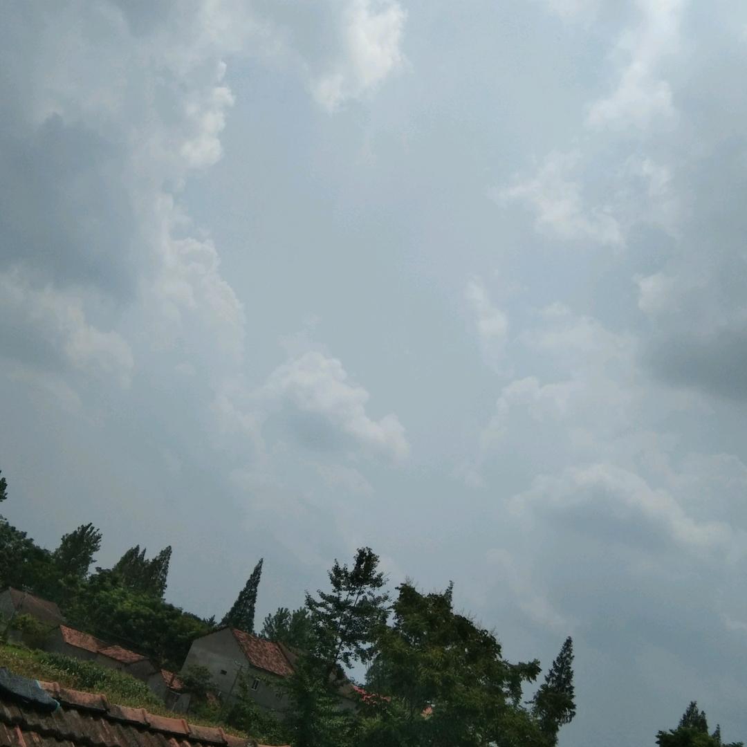 每天追剧追不停