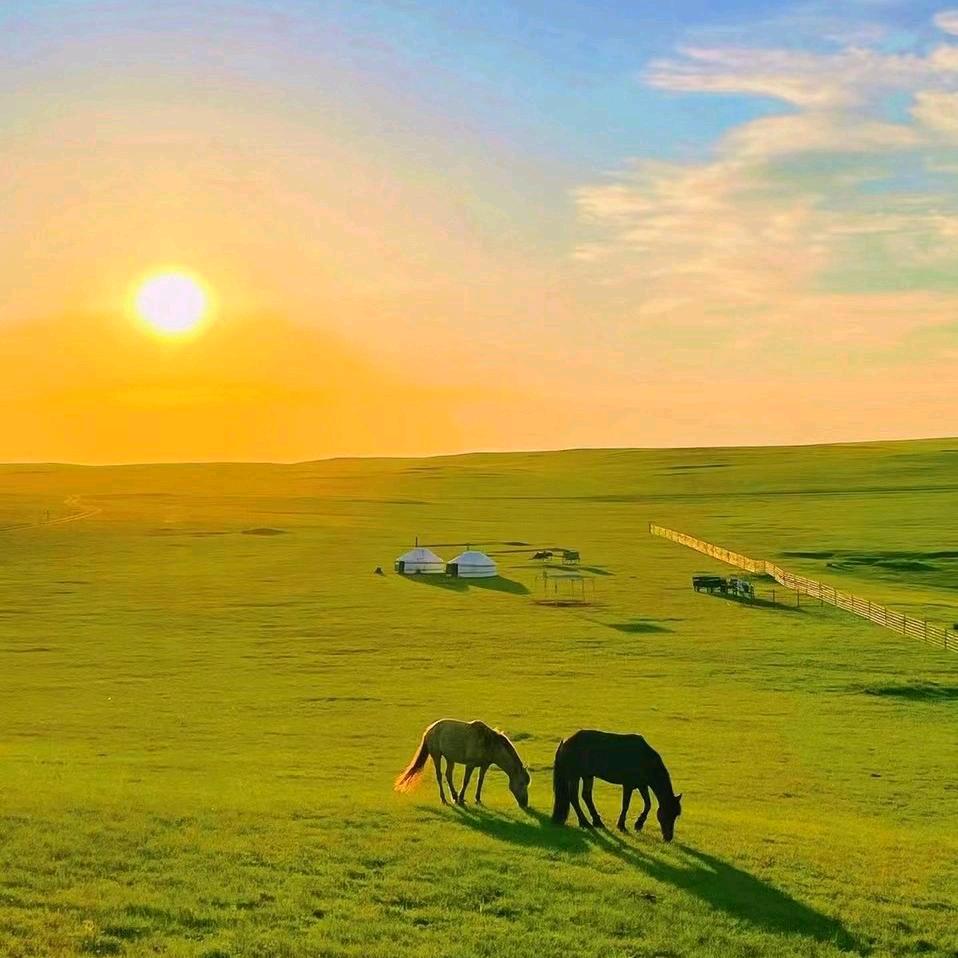 夏有草原冬有雪