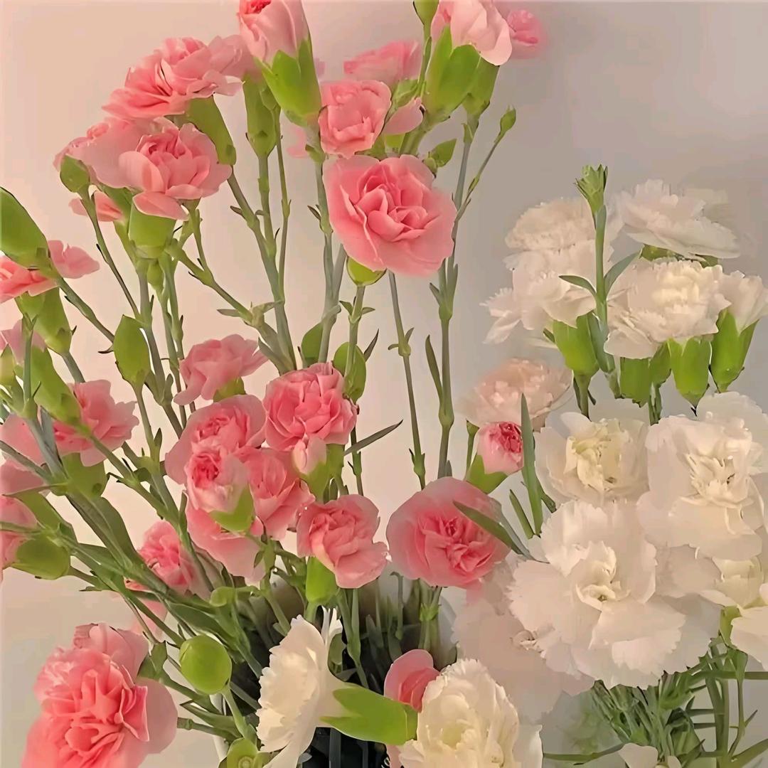 雨后彩虹o>_<o