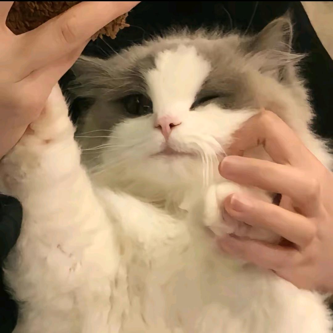 tttira