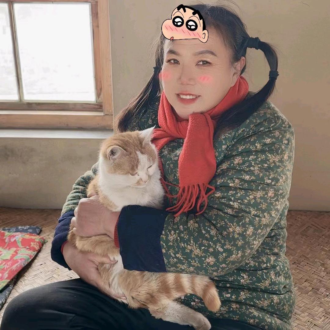 东北大英子与流浪猫