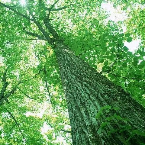 大同御河小学对面托管班