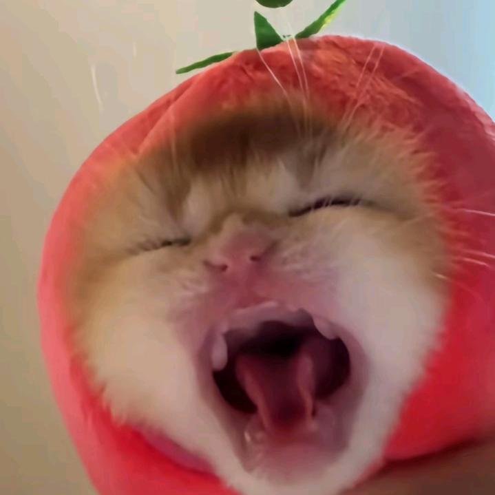 siu～