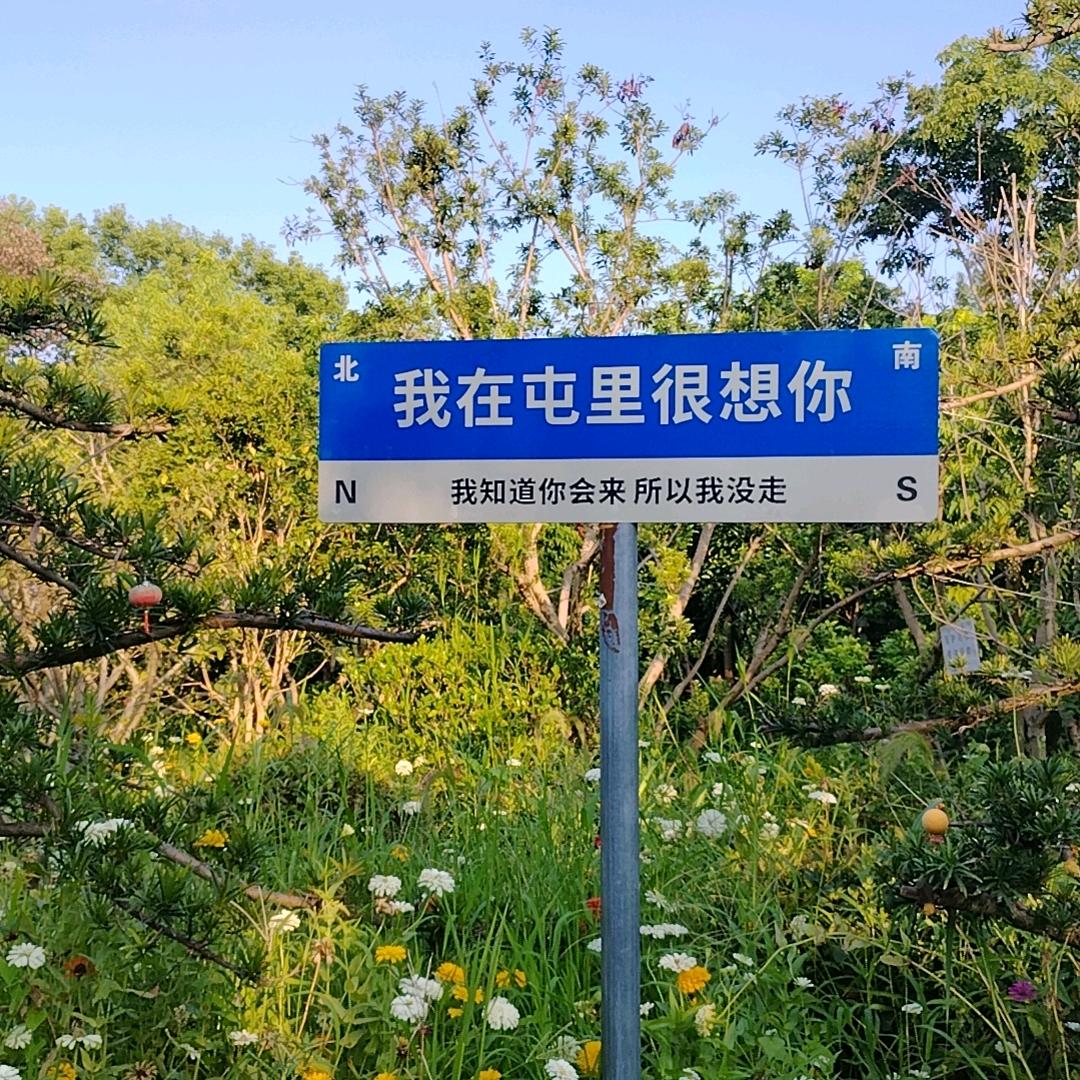 🍋柠檬加盐