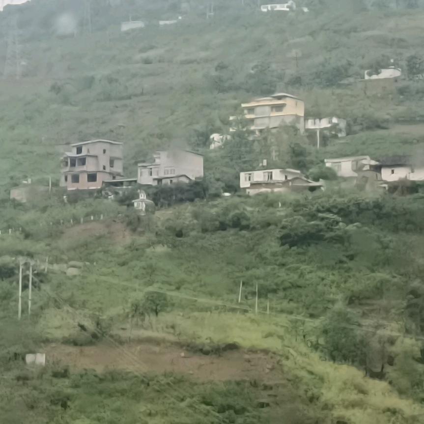 杰哥