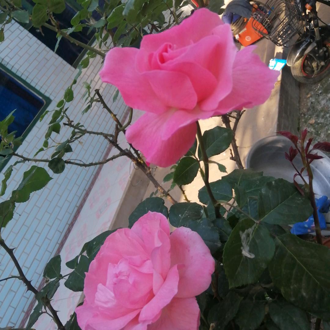 小五