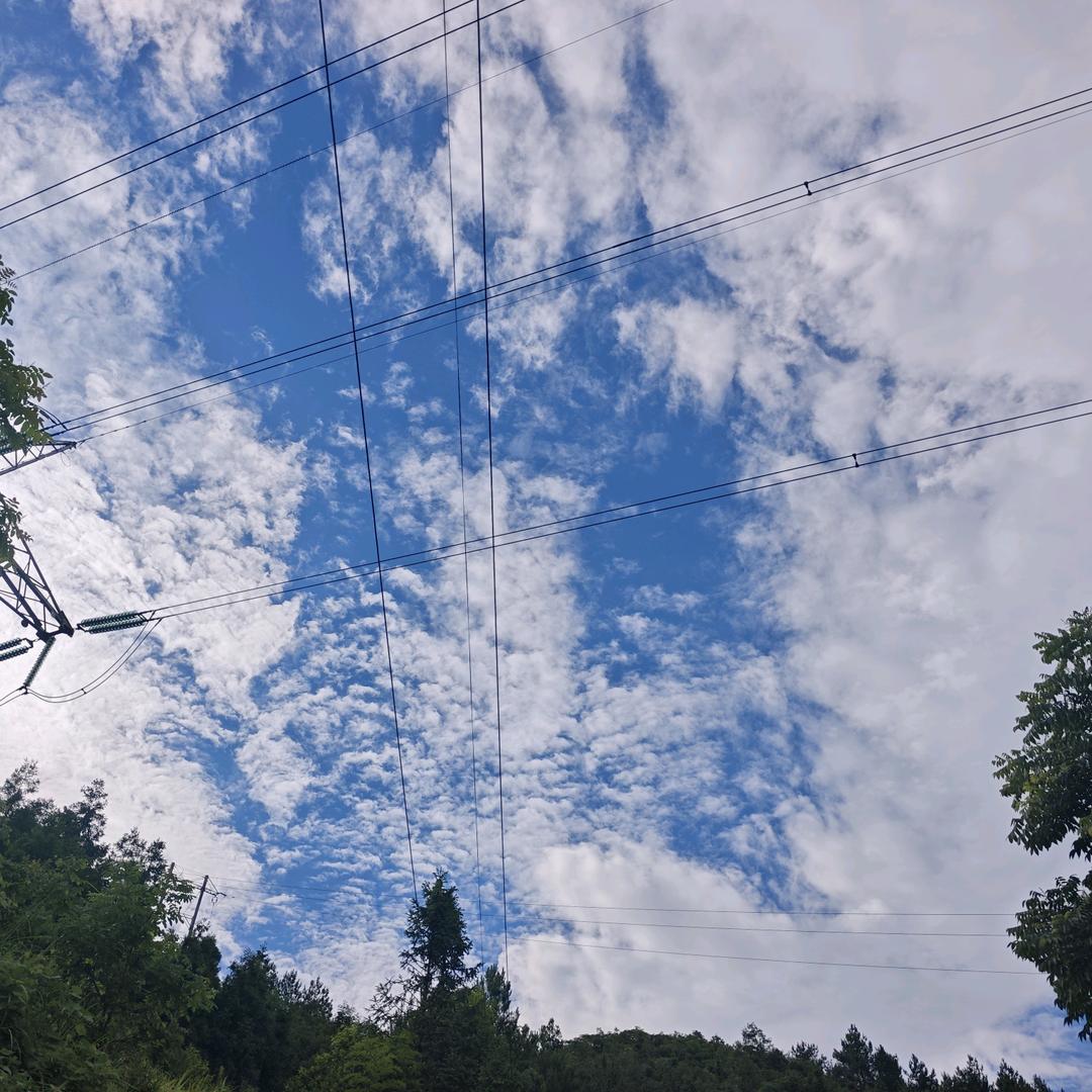 歌者不语（装货版）