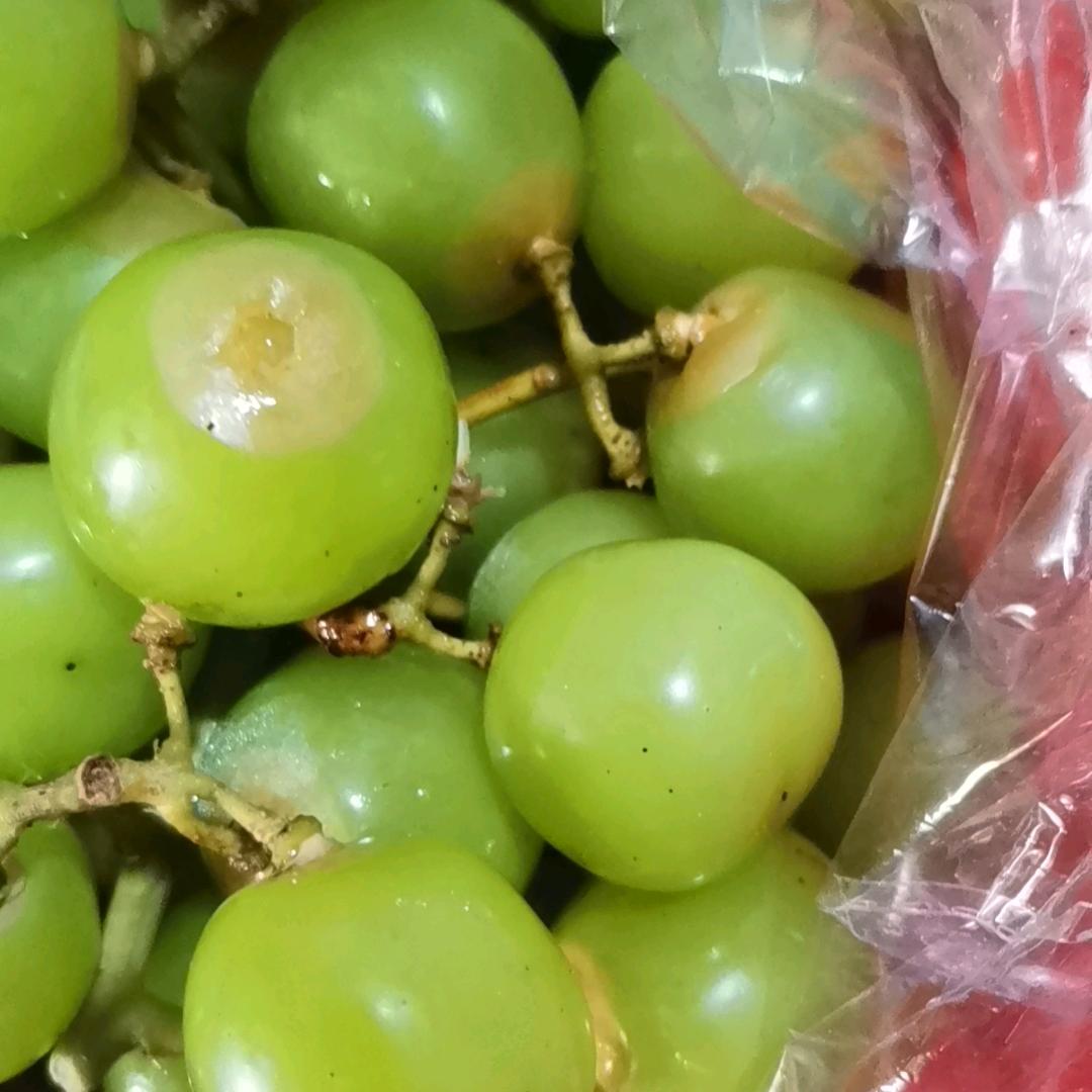 真的吗