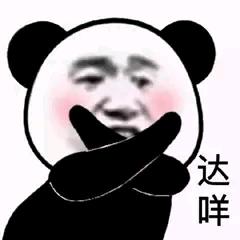 浑身上下六个胆