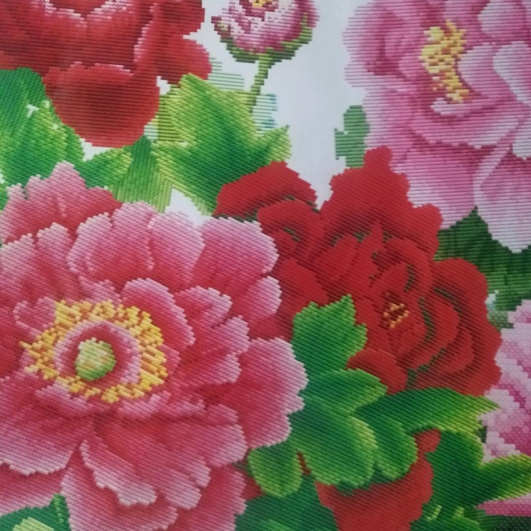 花开四季🍎