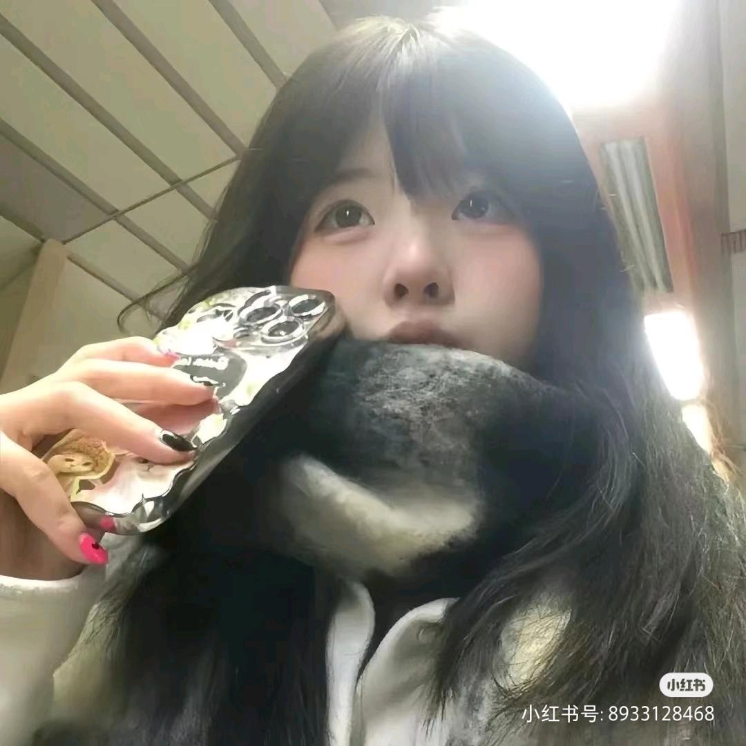 蛋挞小包