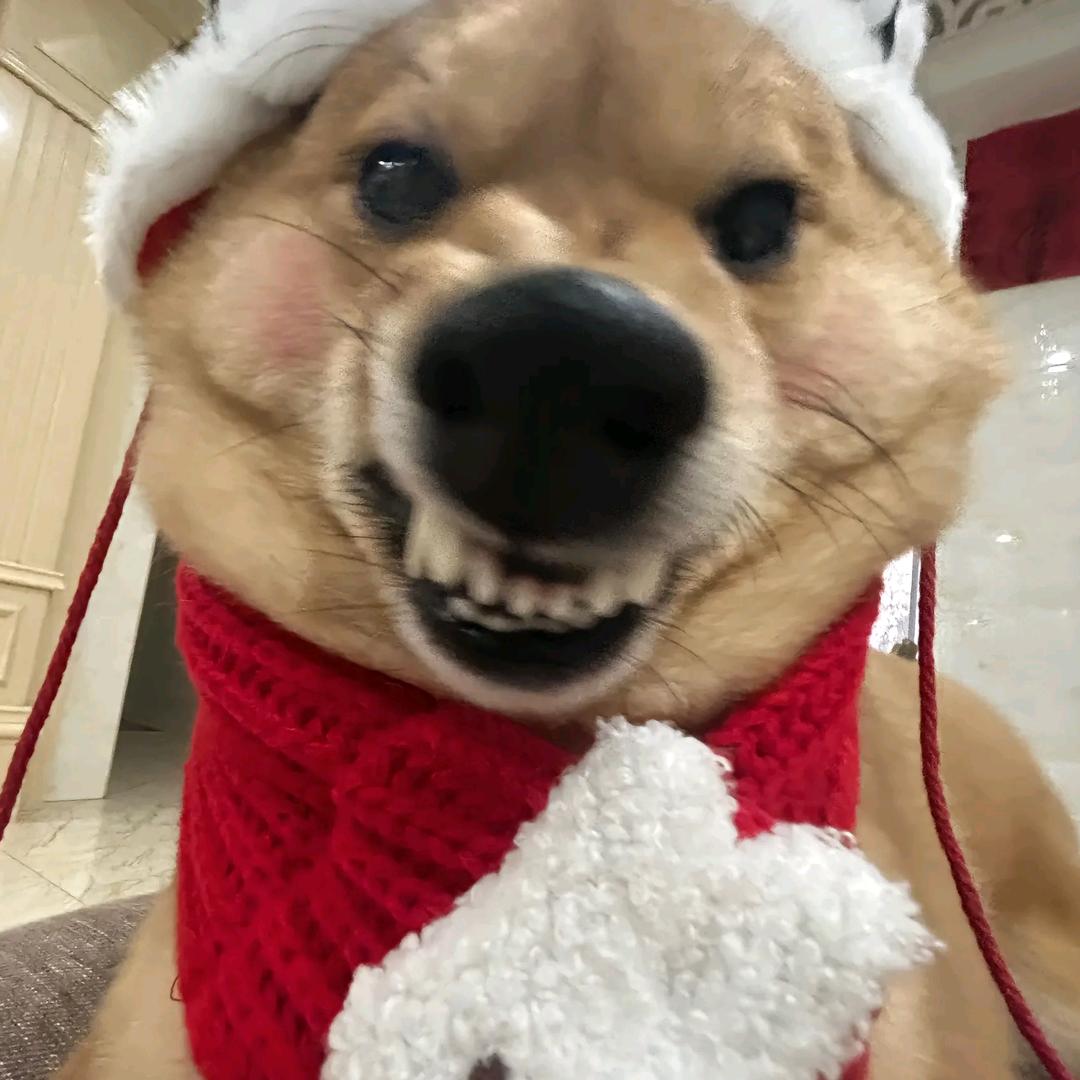 怎么回事啊头像