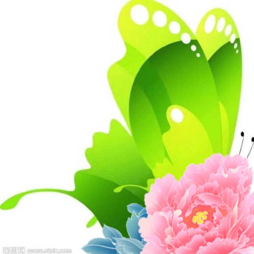 绿蝶꒰ঌ໒꒱ 传说