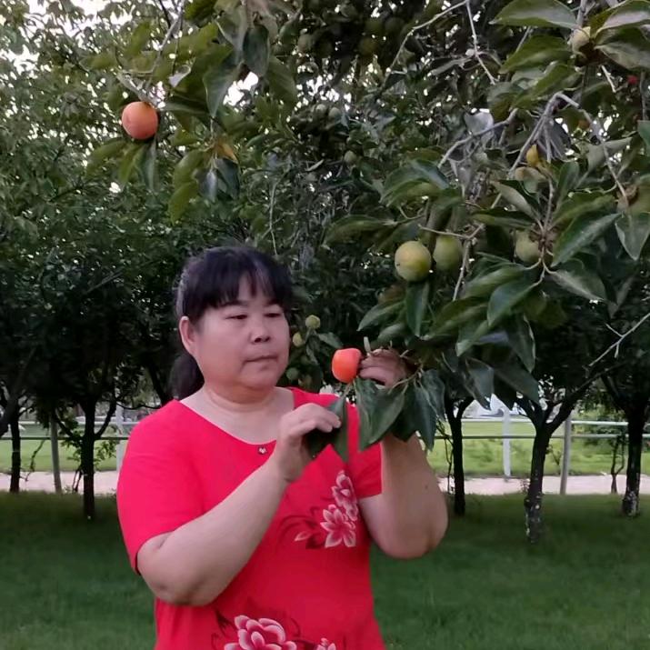 小孟姐