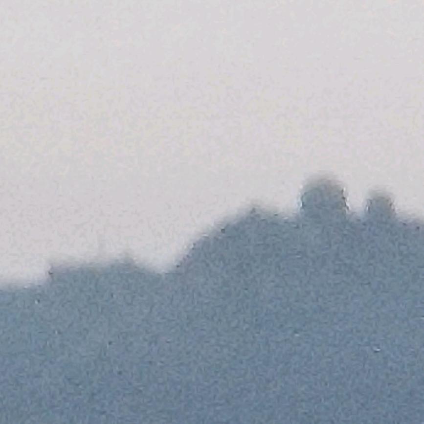 晋之爱丽丽官方号