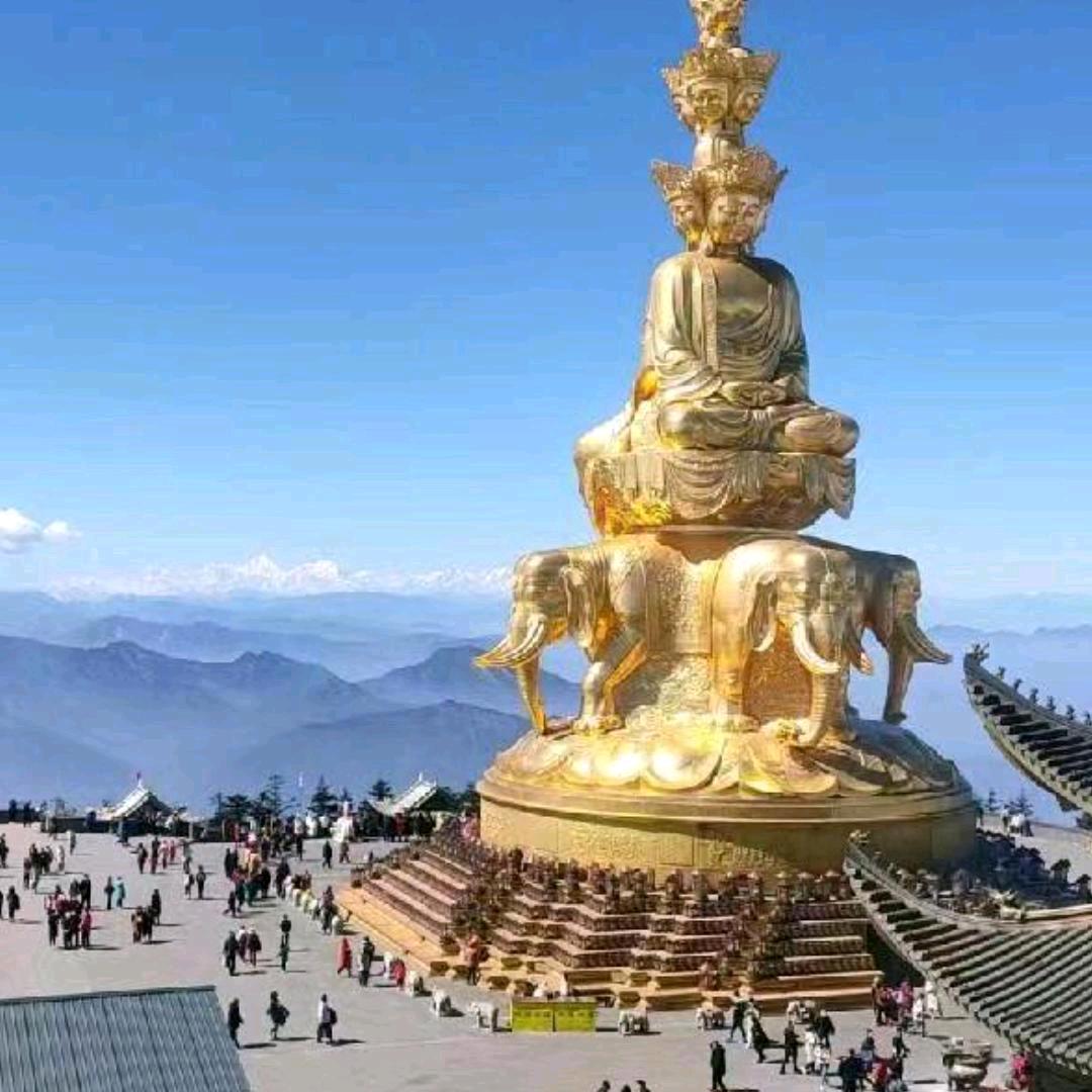 桂