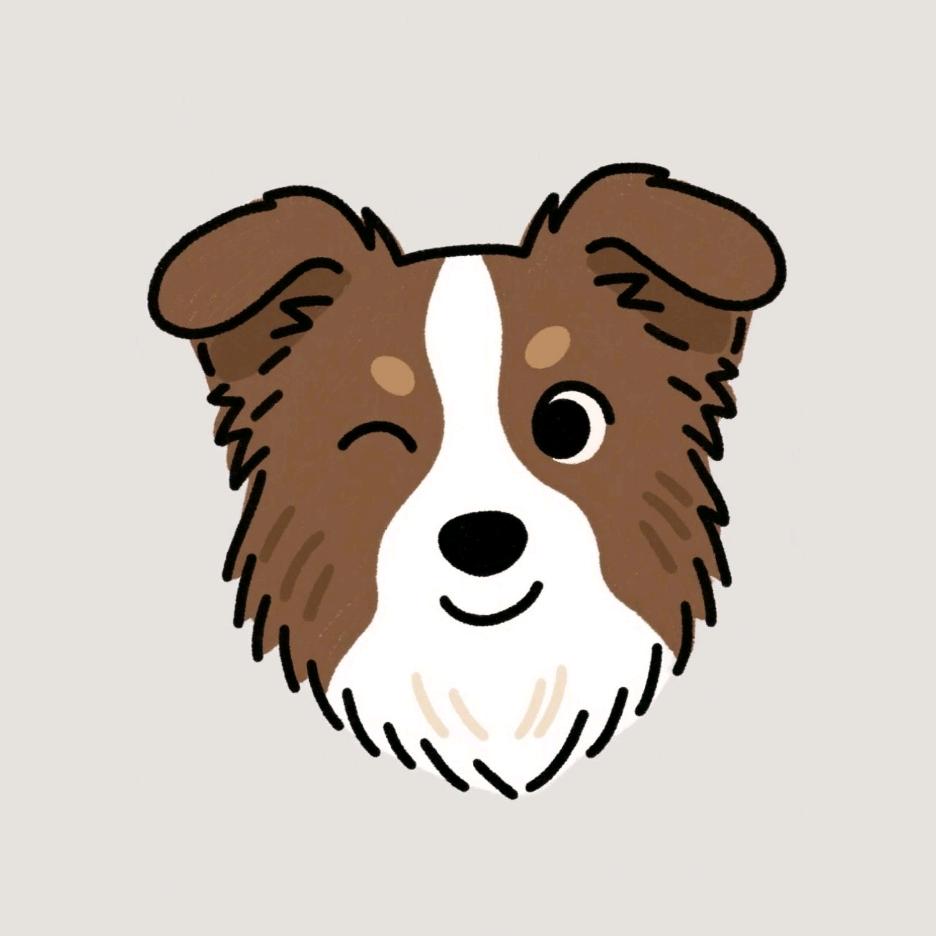 边牧伴万✧( ╹▽╹ )