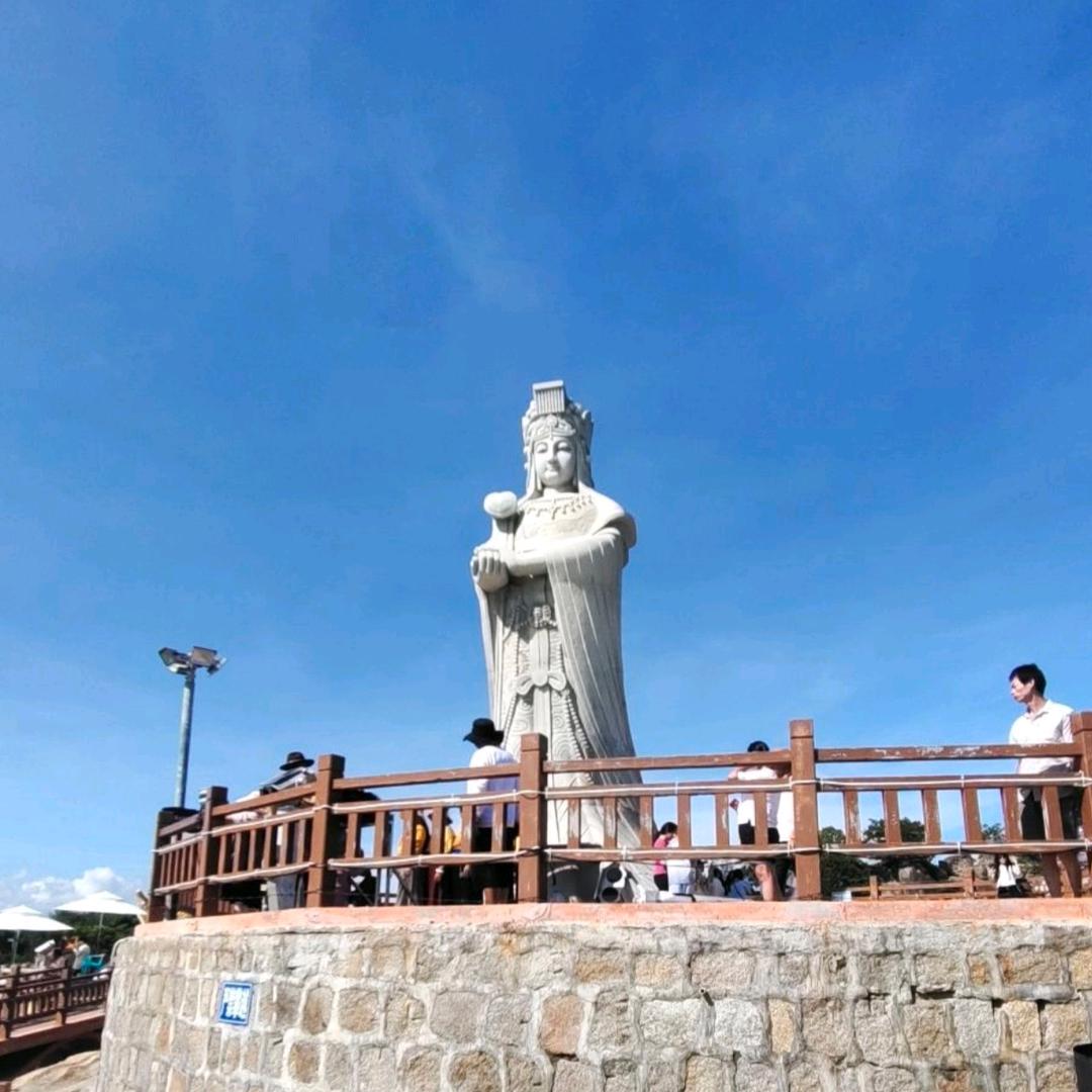 龙叔(橱窗有好物）