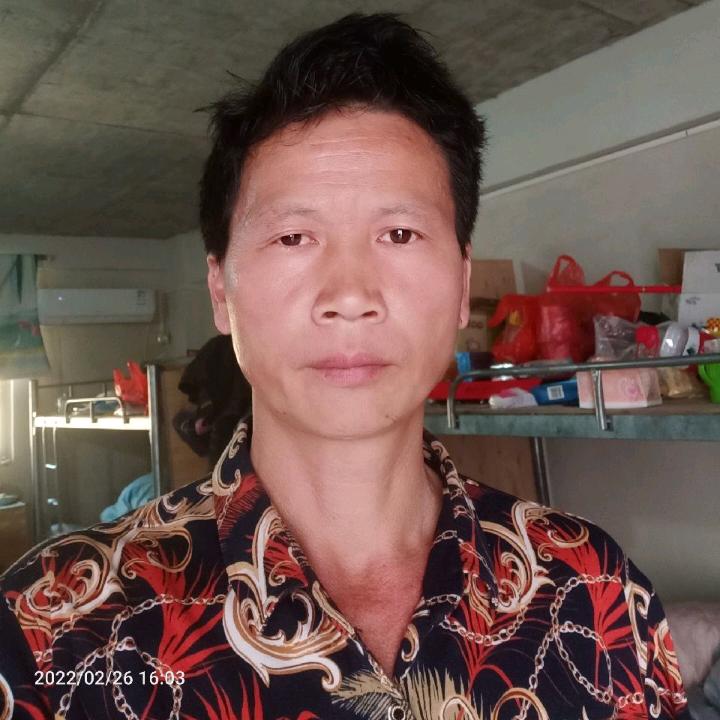 張乐高