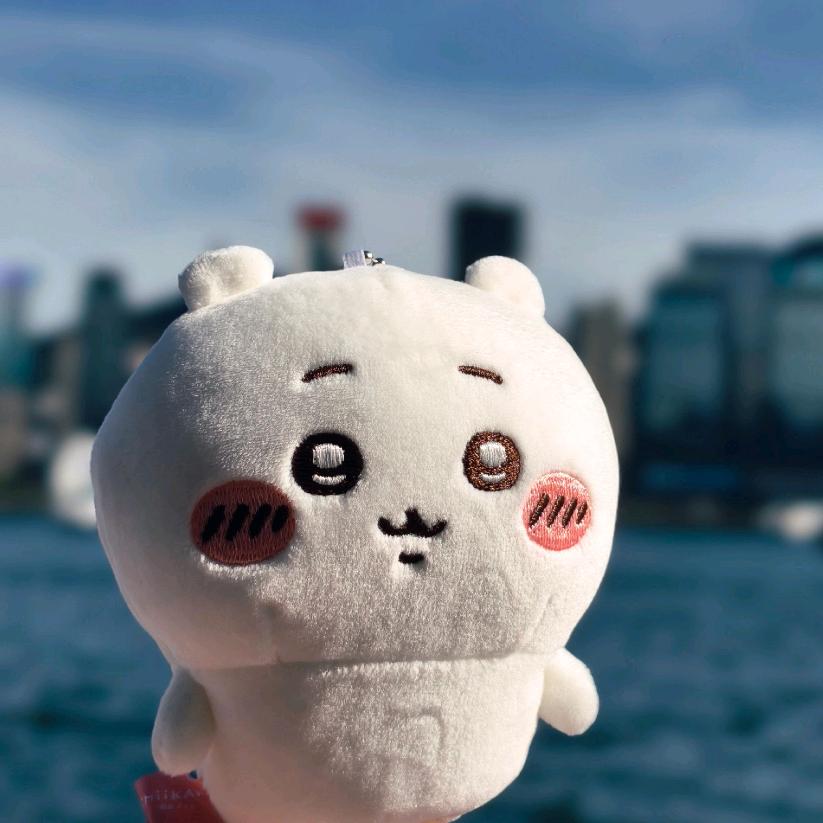 来吧肘起