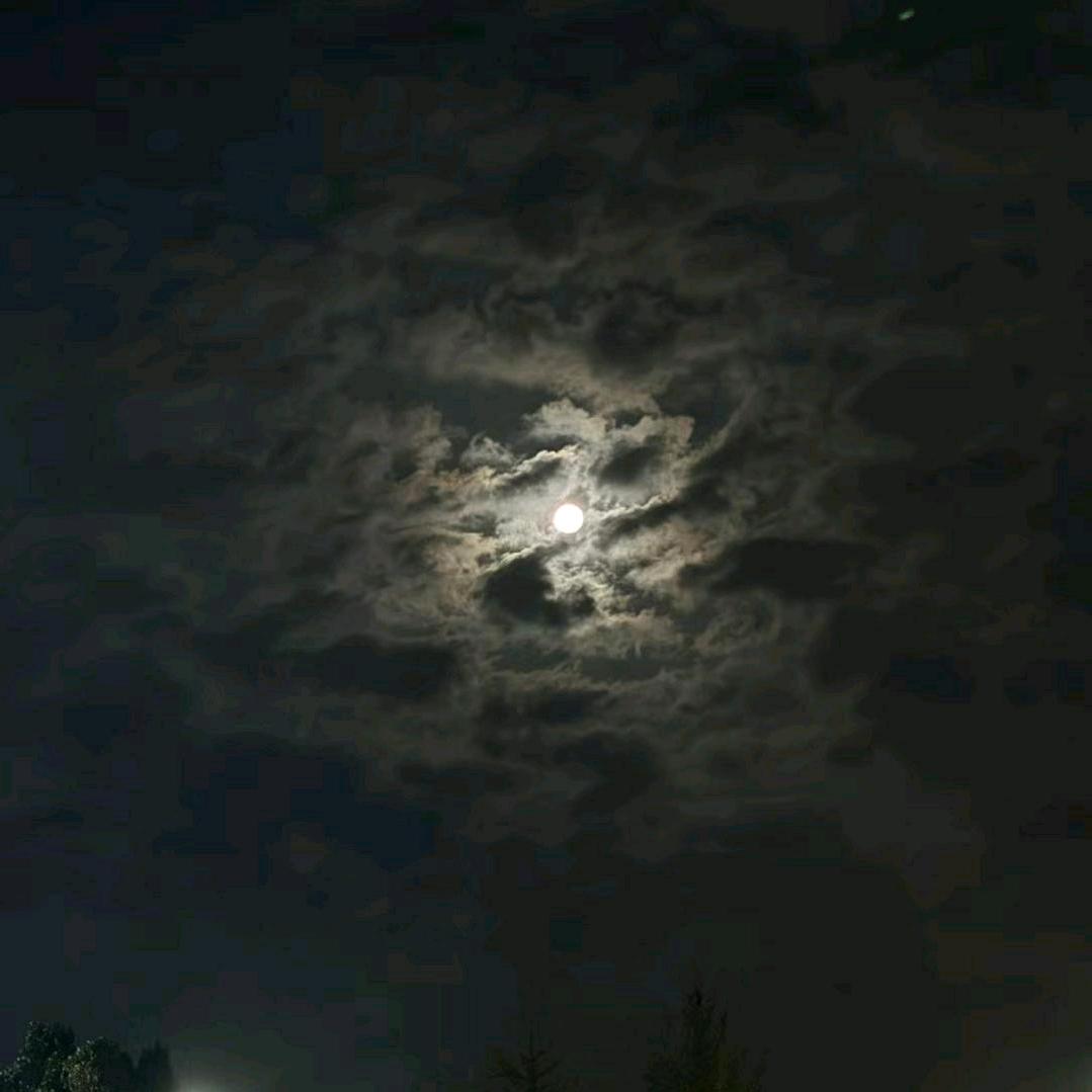 昼夜.