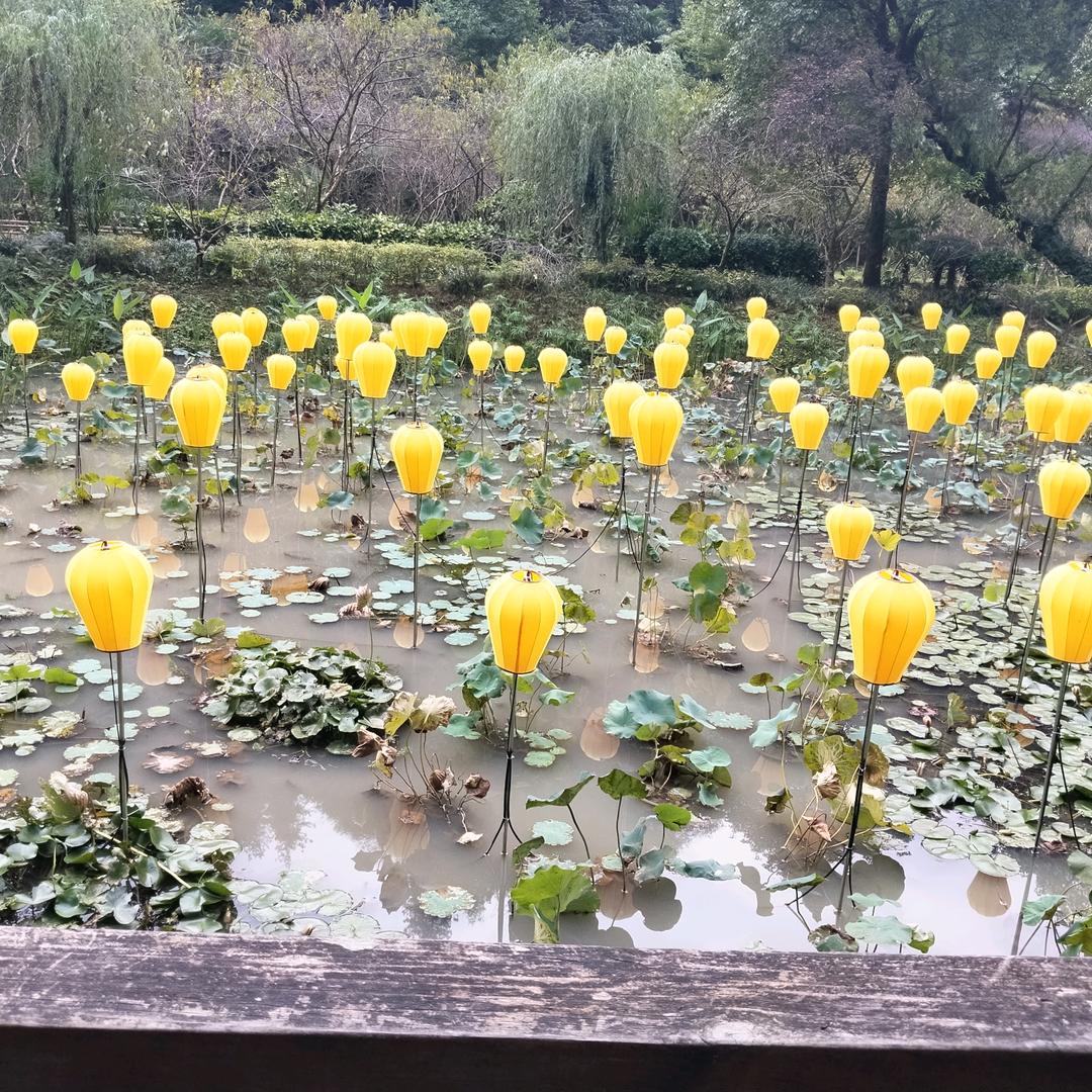 只要太好不要太吵