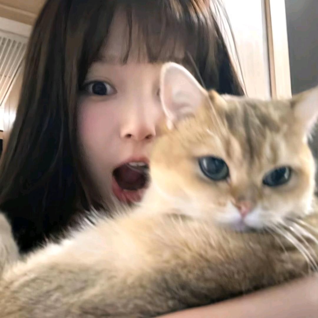 呼啦啦～