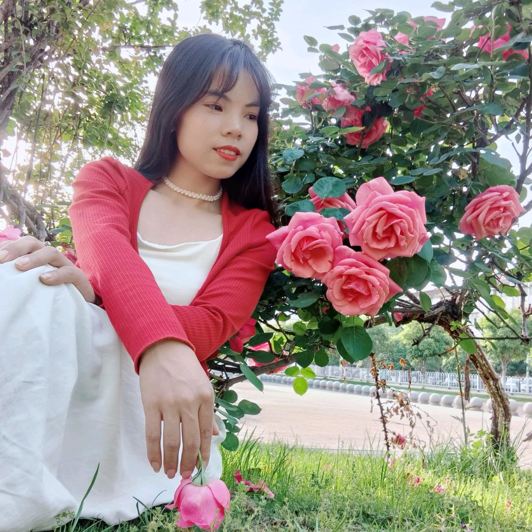 张家二小姐