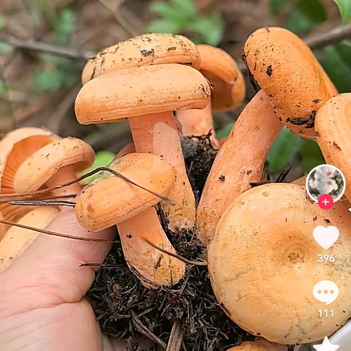 一身平安