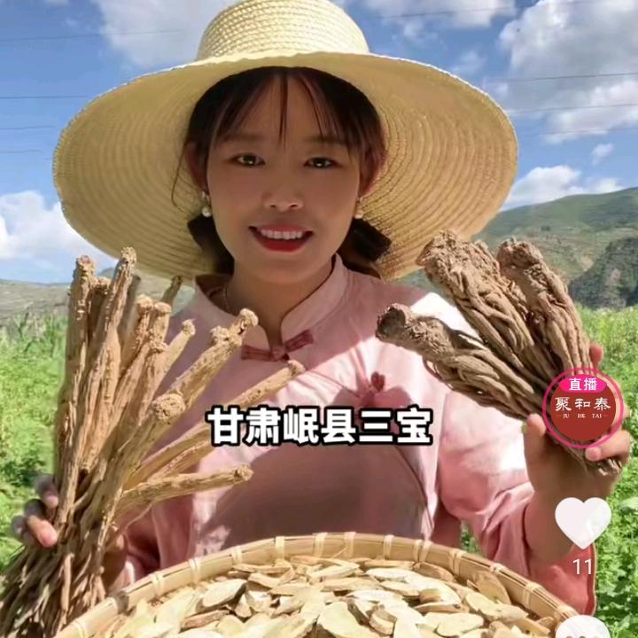 甘肃岷县慧子(原产地黄芪)