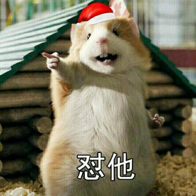 苦瓜味的糖🍭