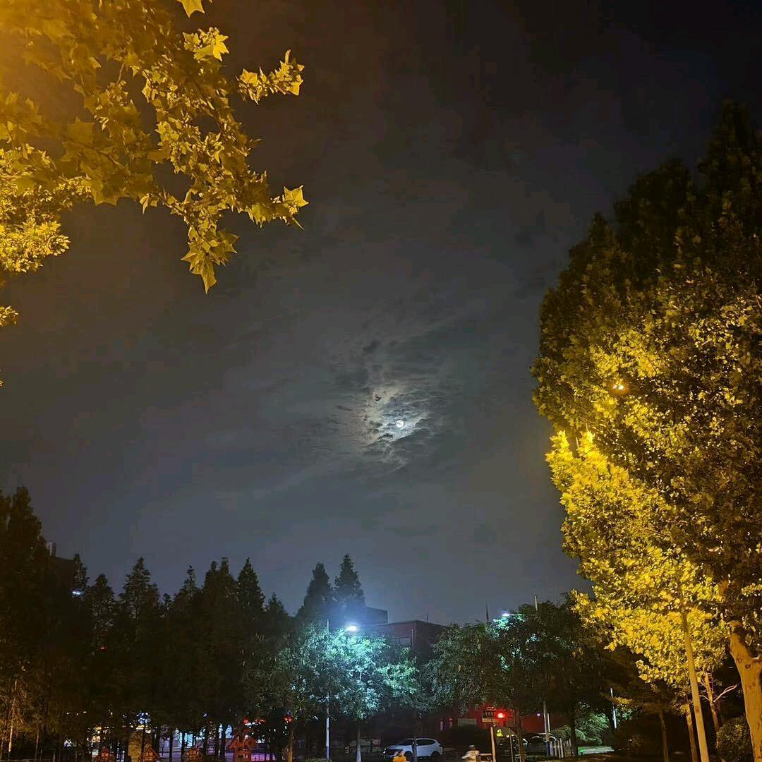 毛毛超甜🌙