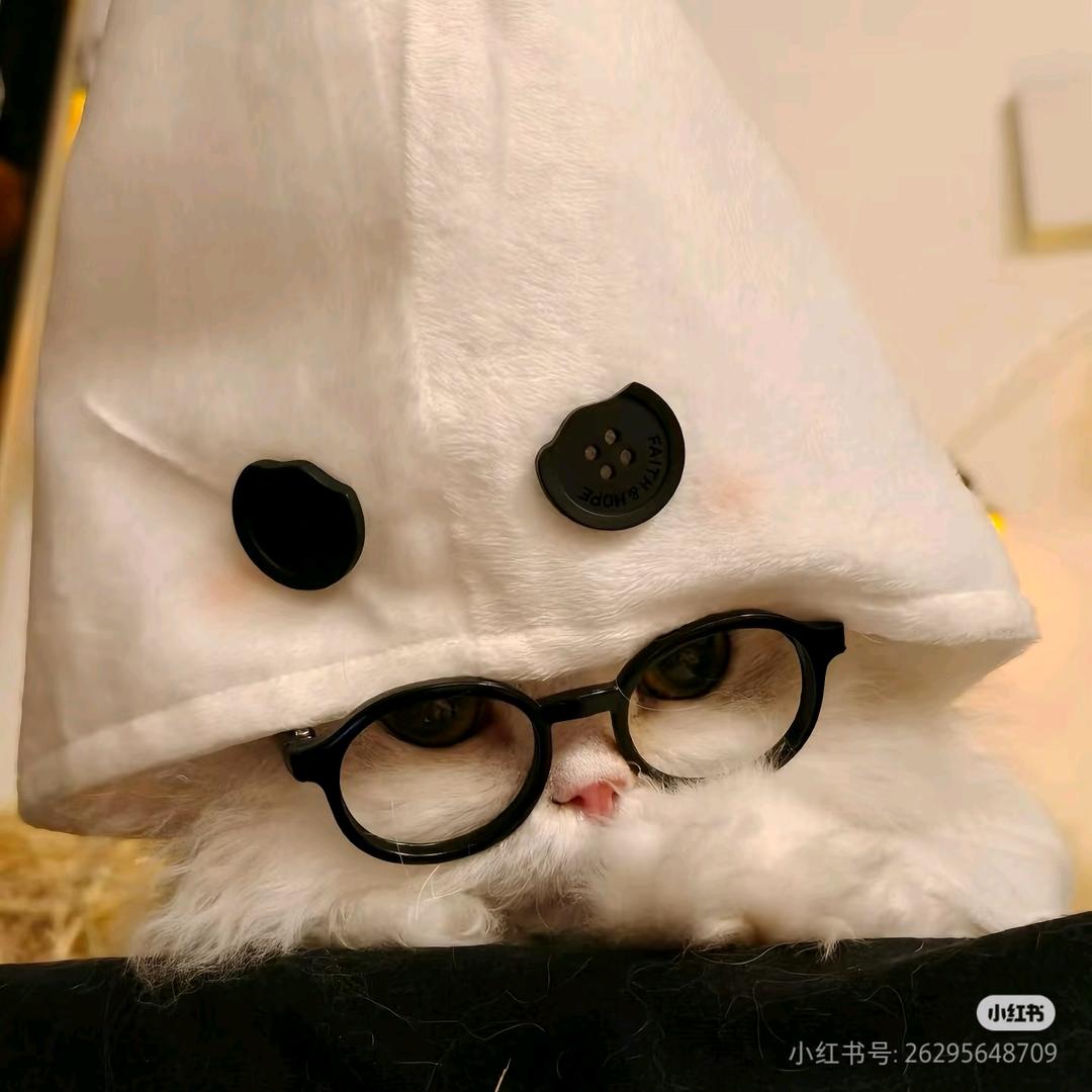 橘子味果冻