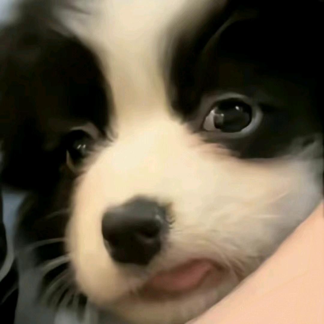喆