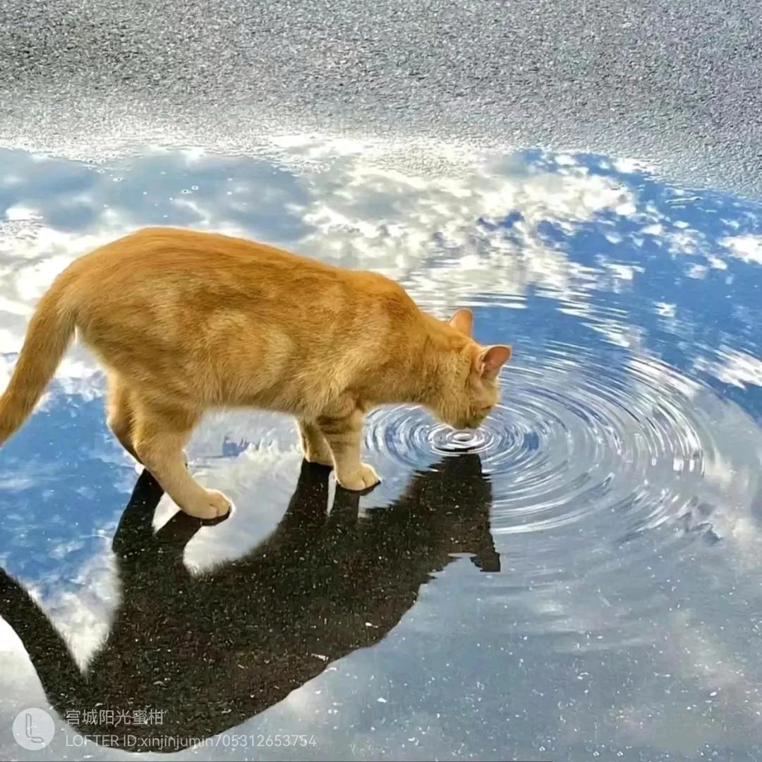 滴北