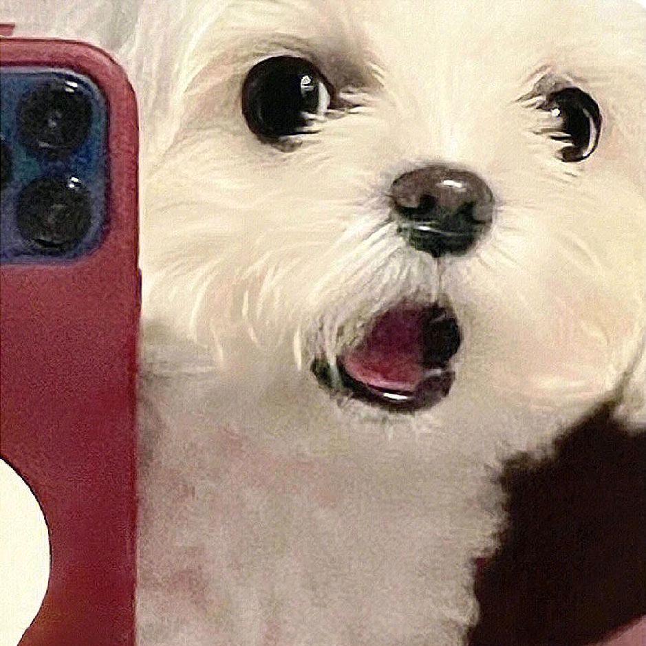 杨予
