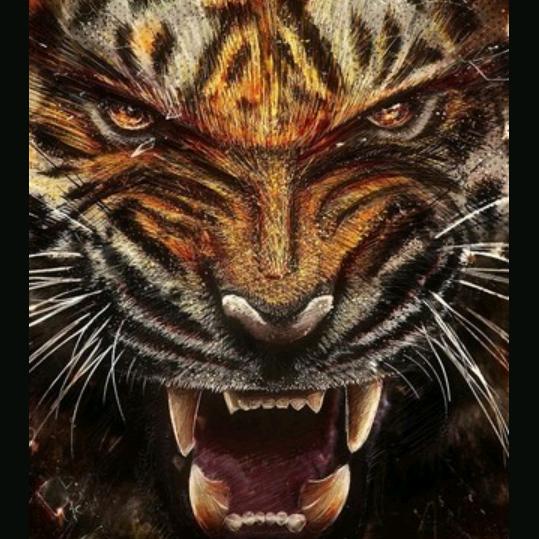 脚踏乾坤唯我独尊