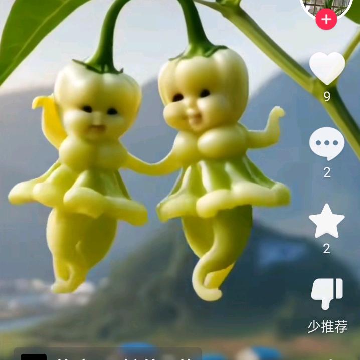 叶佩芳