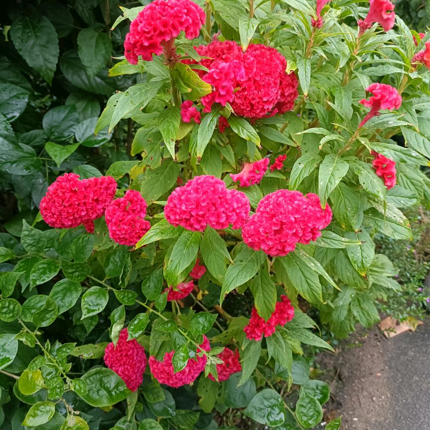 幸福美满   …余