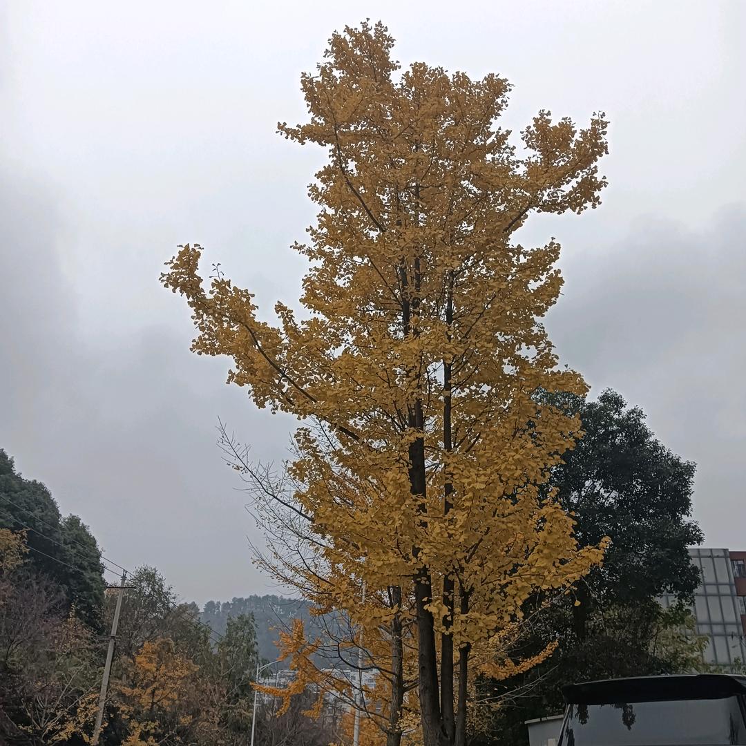 时间，