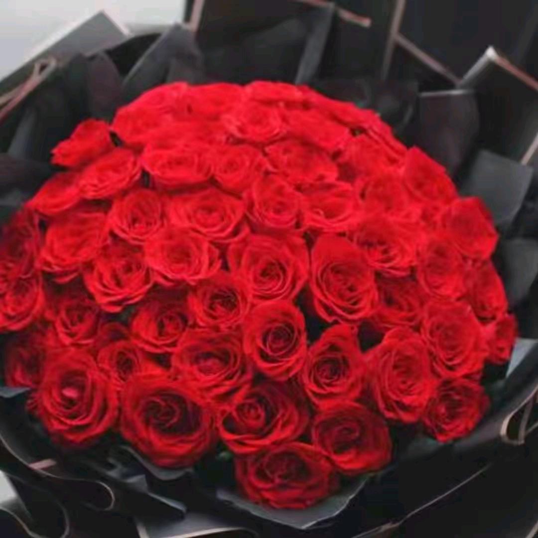 🌺一生幸福🌺