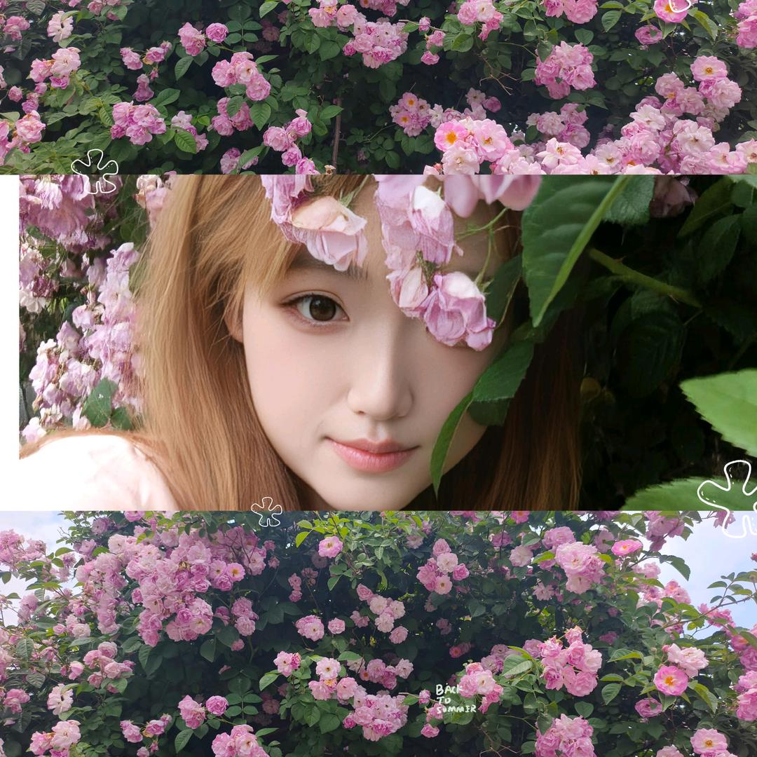 这位公主还没有想好名字✌︎