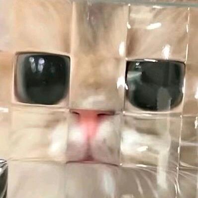 钭