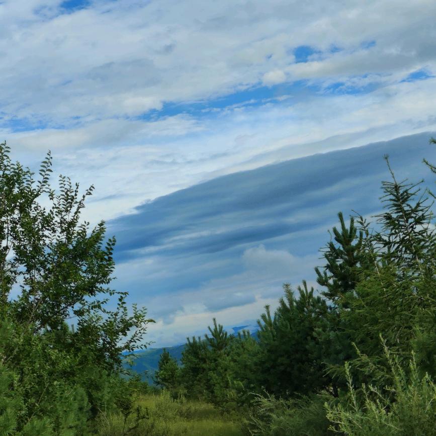 骑着单车看夕阳