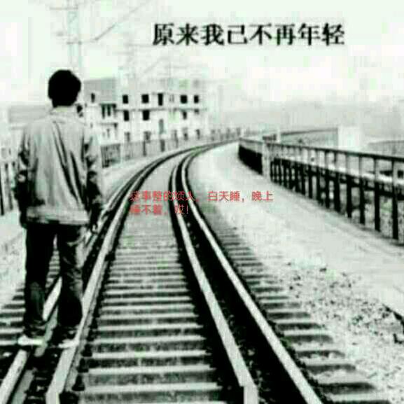 河南八零后